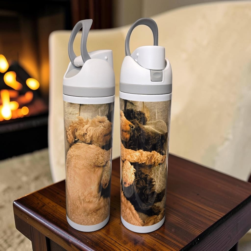 Owala Bottle