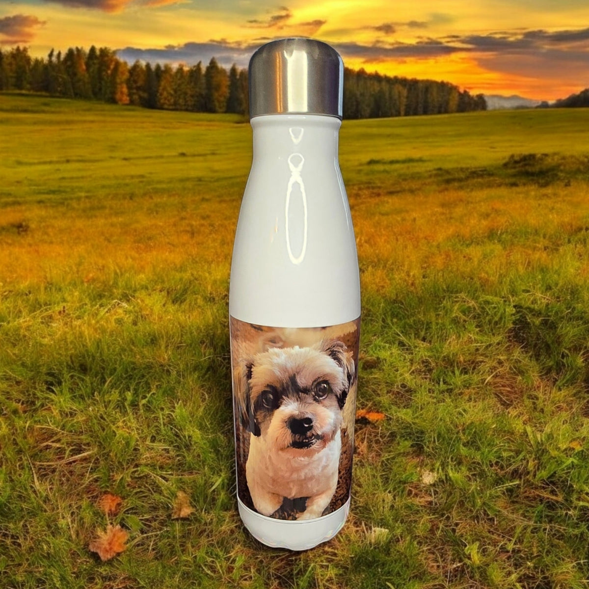 Insulated drinks bottle